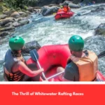 The Thrill of Whitewater Rafting Races